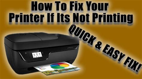 does target print does the printer print correctly?